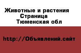  Животные и растения - Страница 10 . Тюменская обл.